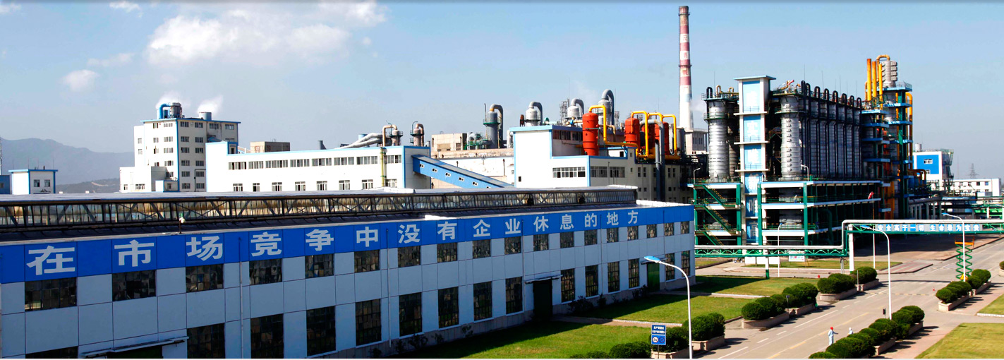 Qinghai Western Magnesium Co., Ltd.